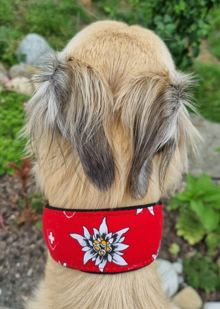 Beschichtete Baumwolle - Edelweiss und Schweizer Wappen auf Rot